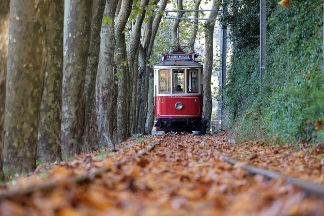 Quinta Da Regaleira and Wine Tasting in Sintra * All Inclusive - Tour Overview