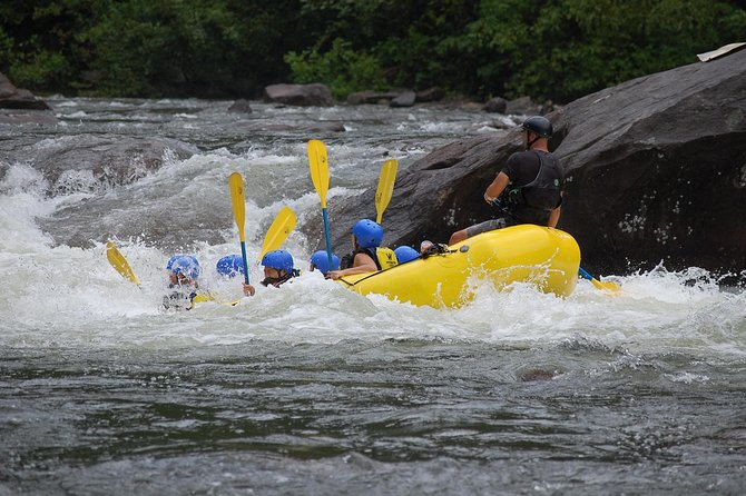 [Rafting Ayung River White Water] a Thrilling Natural Roller Coaster Down the River With a Rubber Boat / for Beginners and Children / Hotel Pick-Up and Meals Included - Overview of Rafting Experience