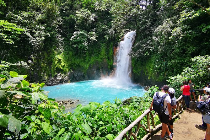 Rainforest Hiking to Rio Celeste Waterfall Private Tour - Transportation and Pickup Details