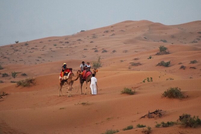 RAK Desert Safari and BBQ Dinner With RAK Pick up - Overview of the Experience