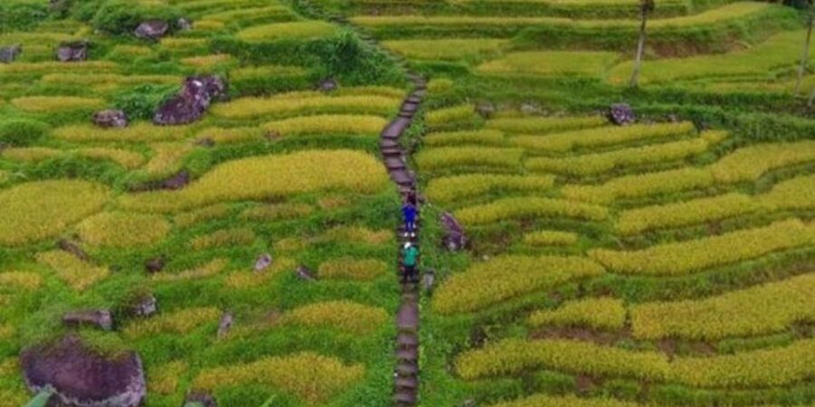 Ramboda: Village Trekking Tour With Authentic Village Lunch! - Tour Overview