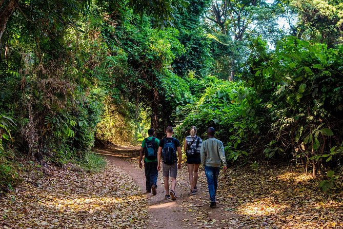 Rau Forest Nature Walk (One Trip - One Tree) - Overview of Rau Forest