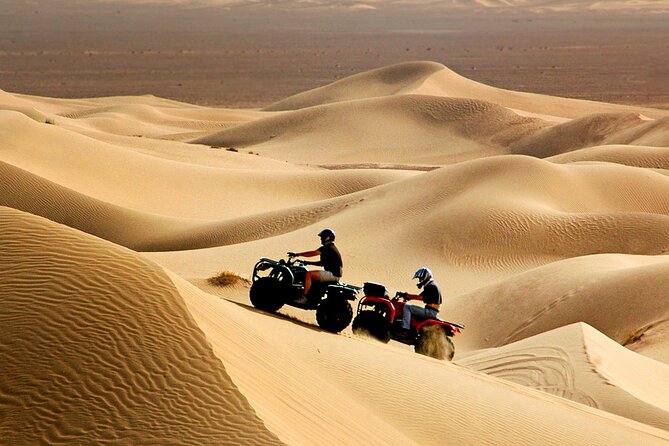 Red Dune Desert Safari Tour With Camel Ride & BBQ Experience - Highlights of the Tour