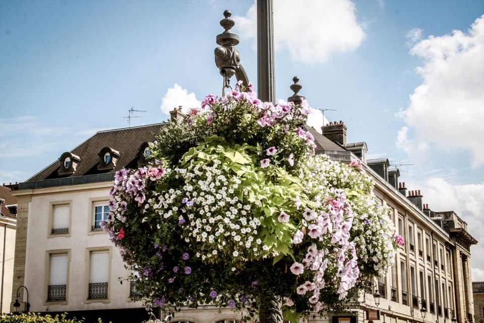 Reims: First Discovery Walk and Reading Walking Tour - Tour Overview