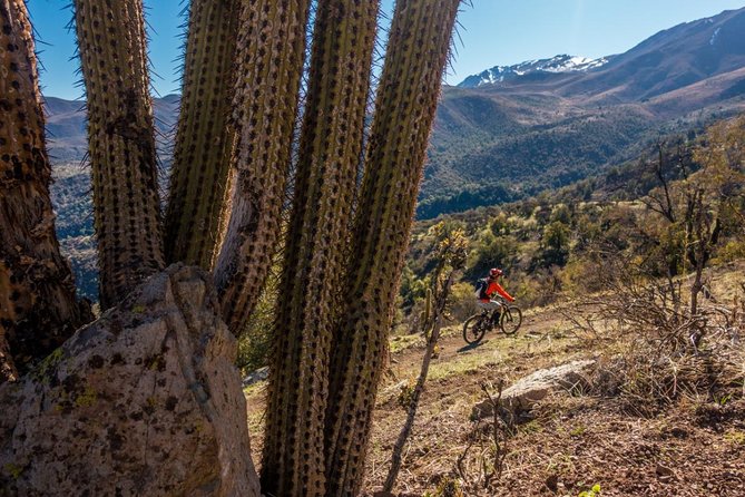 Rent an Electric Mountain Bike in Santiago to Ride in a Bike Park - Tour Details