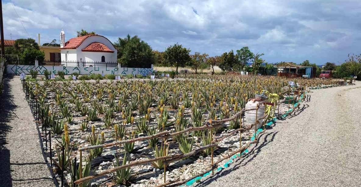 Rhodes:Explore the Farms Paths & Discover Aloe Vera & Herbs - Activity Overview