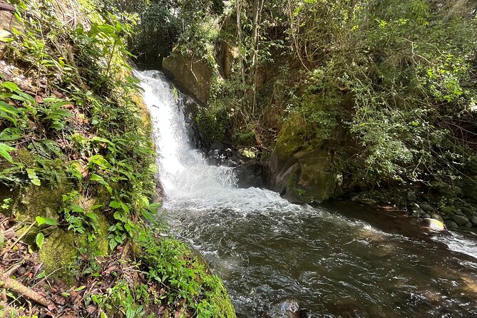 Rincon De La Vieja/Santa Maria Nature Hike & Hot Springs/Half Day - Overview of the Experience