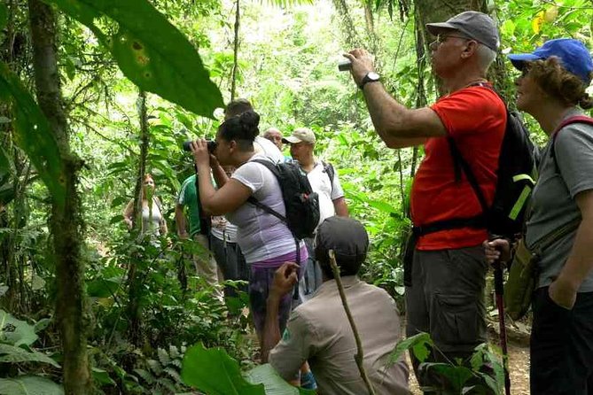 Rio Celeste Hiking From Arenal - National Park Guided Tour - Location and Reviews