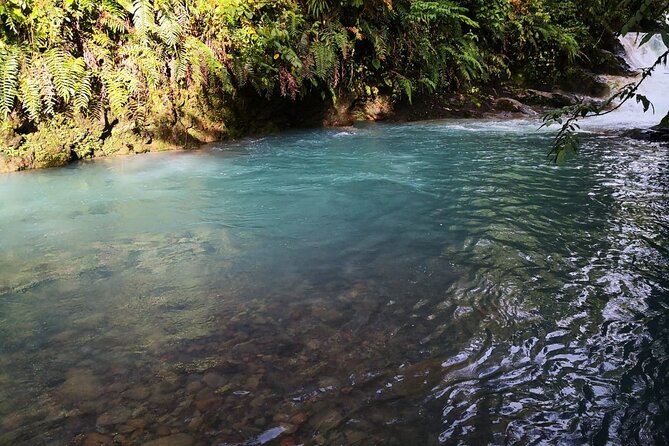Rio Celeste River Waterfall, Hike and Hot Springs Tour From San Jose, Costa Rica