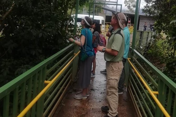 Rio Celeste Waterfall Hike - Overview