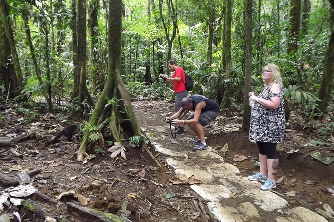 Rio Celeste Waterfall & Sloth Encounter Tour