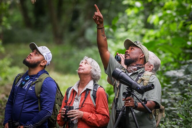 Rio Maya Bird Sanctuary and Spanish Lookout All Inclusive Birdwatching Tour