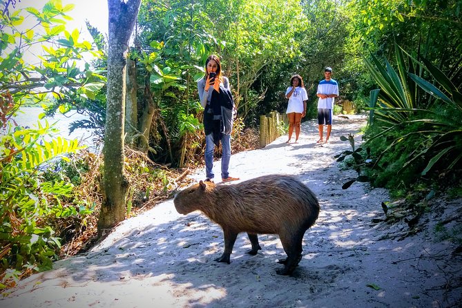 Rio Nature Secrets - the Eco Citytour (Small Group or Private) - Itinerary and Attractions