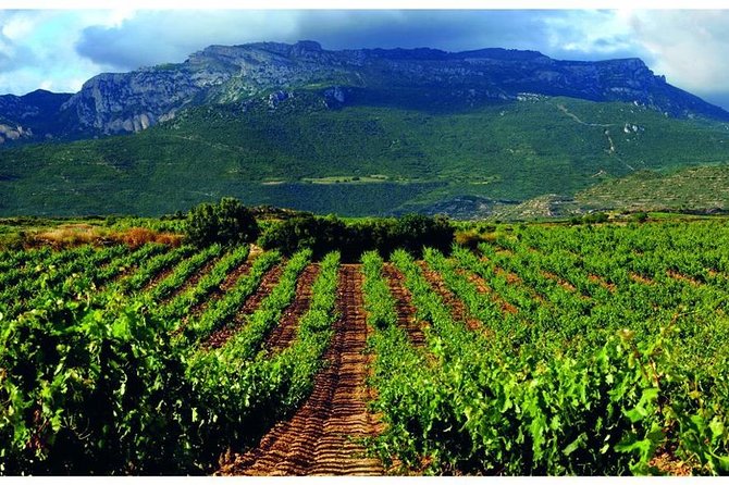 Rioja Alavesa Wineries and Medieval Villages Day Trip - Tour Overview