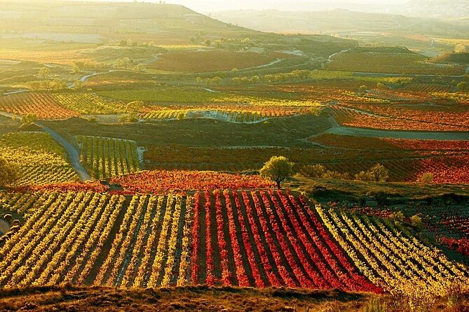 Rioja Wine Region With Visit to Winery & Vitoria-Gasreiz