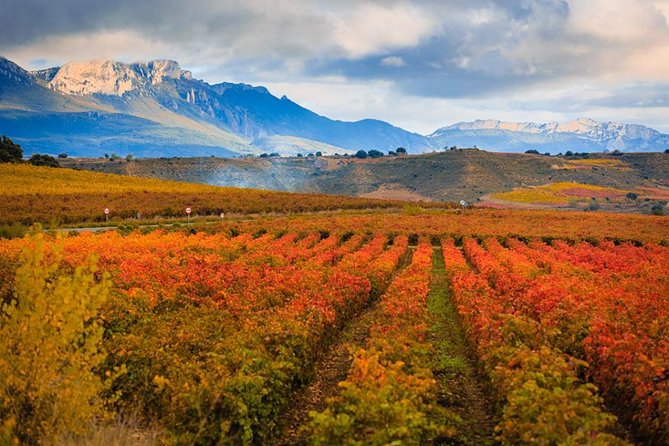 Rioja Wine Tour