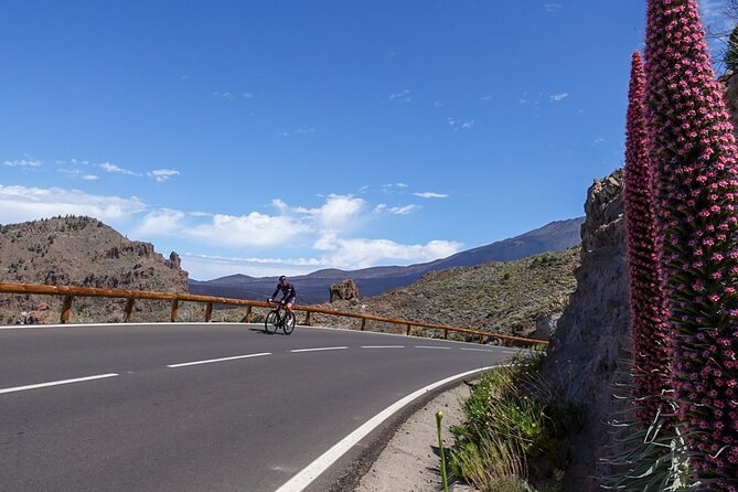 Road Cycling Tenerife – Teide Route