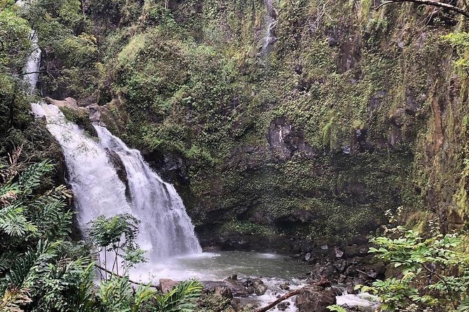Road to Hana Tour – Best of Maui