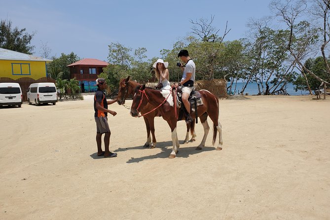 Roatan Excursion: Horseback Ride / Plus Sloth Park and Glass Bottom Boat - Detailed Tour Activities