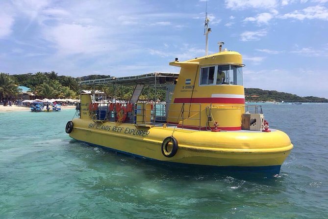 Roatan Glass Bottom Boat Tour and Beach