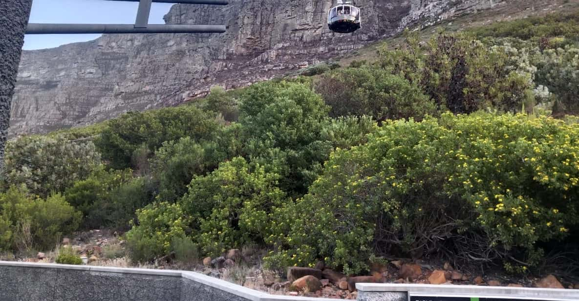 Robben Island and Table Mountain Full-Day Tour in Cape Town - Tour Overview