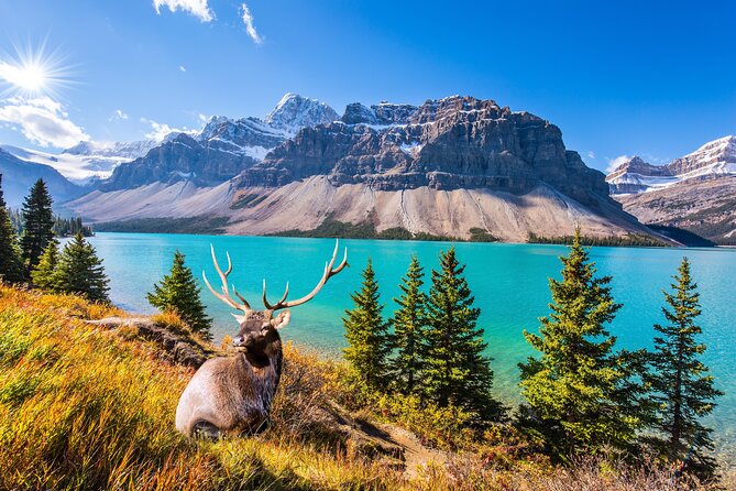 3 Best National Park Tours In Rocky Mountain National Park