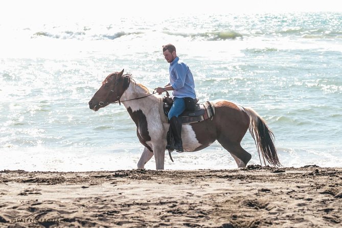Rome: Private Horseback Riding Experience on the Beach - Experience Overview