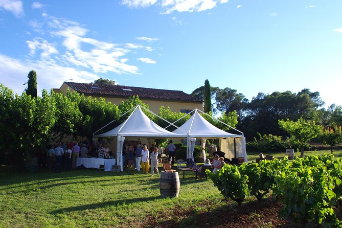 Roséwinetasting Parties or Workshops With a Wineeducator at Your Place