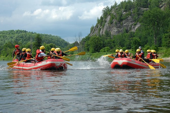 Rouge River Family Rafting Must Include a Kid (6-11 Yrs) - Overview of the Adventure