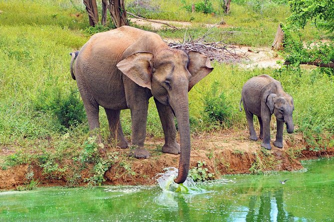 Round Tour – 7days & 6nights