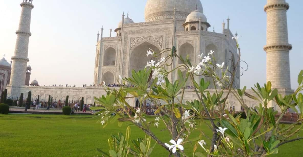 Royal Agra Experience: One-Day Tour From Delhi - Tour Overview