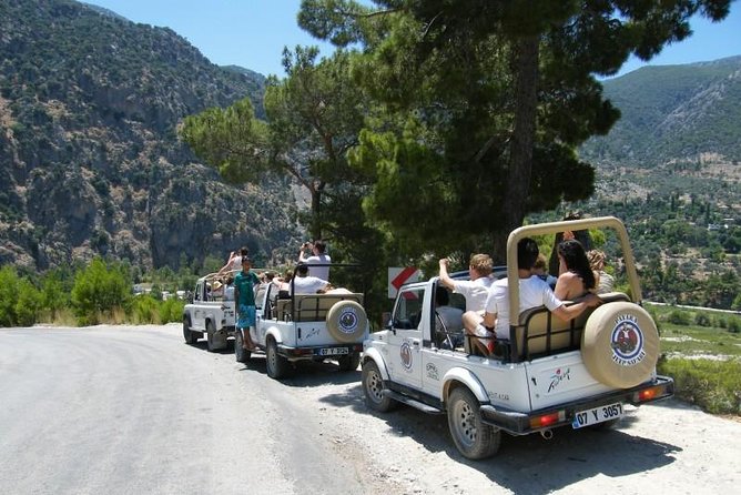 Safari Adventure in the Mountains Review