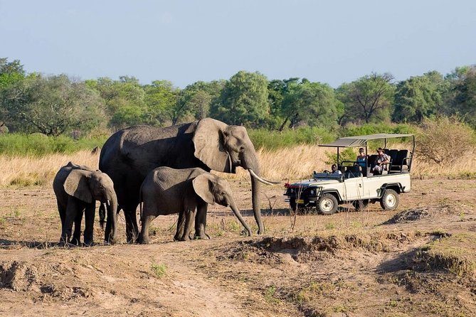 Safari Game Drive in Zambezi National Park With Hotel Pickup