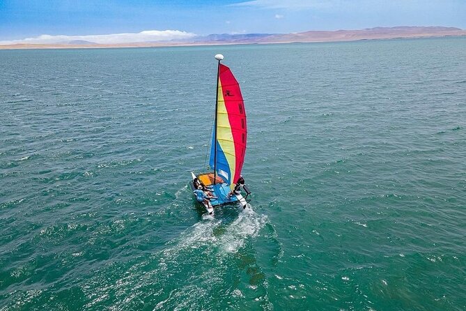 Sail on a Catamaran and Discover Paracas Bay