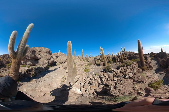 Salt Flats and Colored Lagoons 3d 2n Tour + Transfer to San Pedro De Atacama - Tour Overview