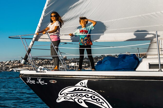 San Diego Half-Day Marine Wildlife Tour With Lunch