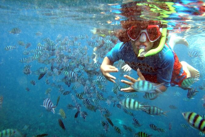 San Juan Guided Snorkeling Experience - With Transport 8am-3pm