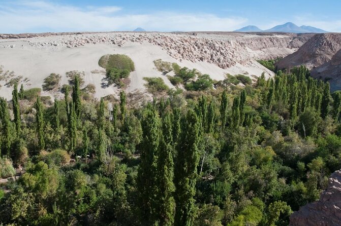 San Pedro De Atacama, Chaxa Lagoon, and Toconao – Half Day