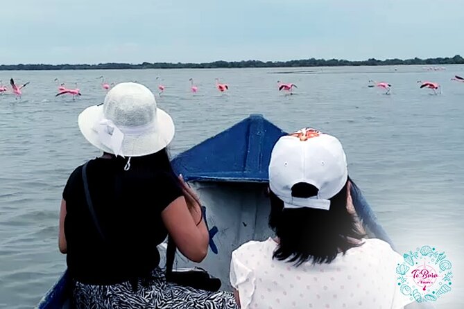 Sanctuary Los Flamingos Tour