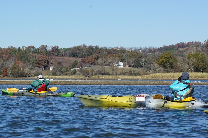 Sandhill Crane Kayak Tour With Chattanooga Guided Adventures