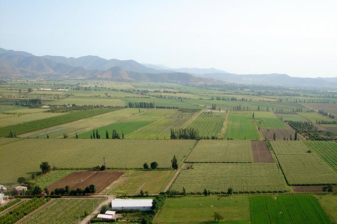 Santiago Full Day Tour to Casablanca Valley, Include Entraces for 2 Vineyard.