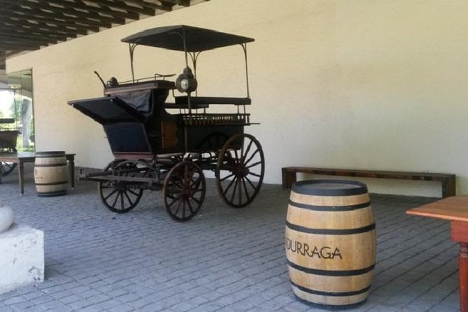 Santiago: Half Day Visit to Undurraga Vineyard, Entrance and Transport Included