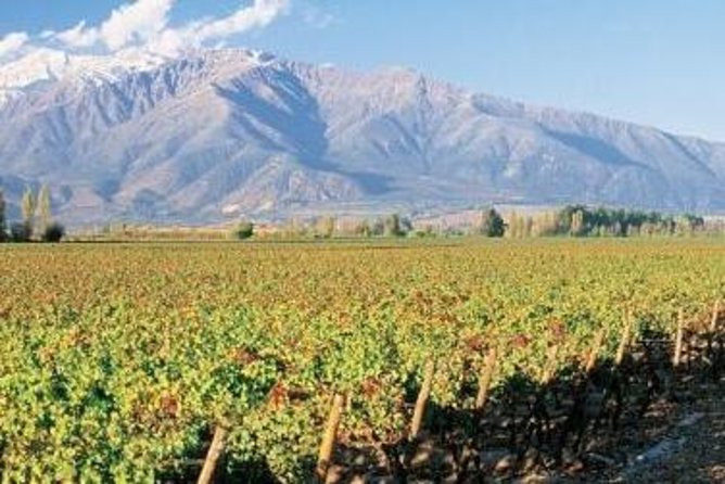 Santiago Super Saver: 2-Day City Sightseeing and Concha Y Toro Winery Tour