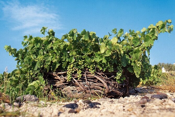 Santorini Private Highlights Tour & Wine Tasting With Local Guide