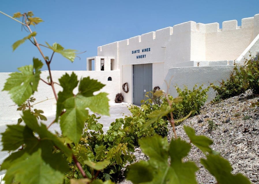 Santorini Vegan Food & Wine Tour