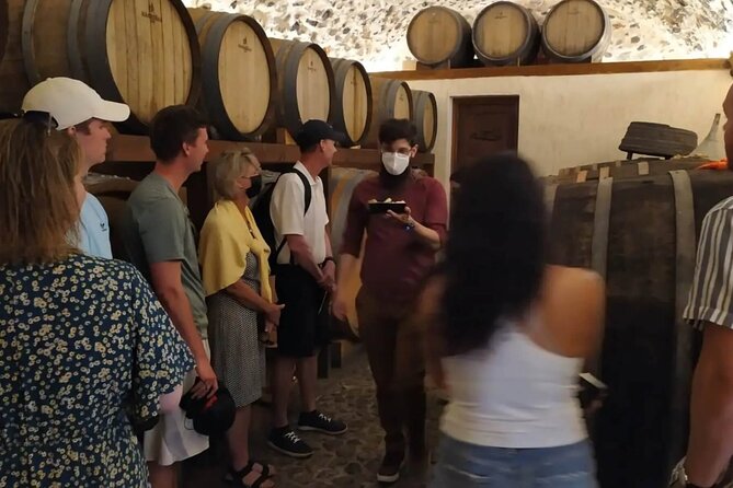 Santorini Wine Tasting: Private Tour With a Certified Wine Guide