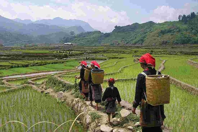 Sapa Private Car Tour – 1 Day Enjoy the Rice Terraced Fields