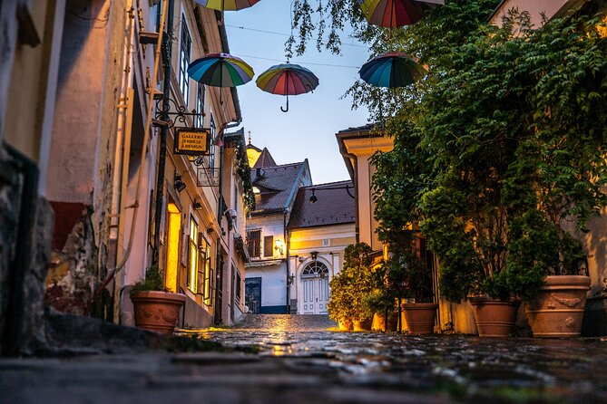 Scenic Danube River Bend Hills & the Art Town: Private Car Tour
