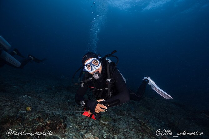 Scuba Dive With Manta Rays