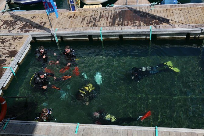 Scuba Diving Baptism in Caleta De Fuste - Exploring Fuerteventuras Underwater World